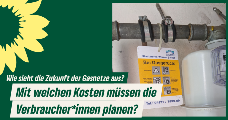 Die Zukunft unserer Gasnetze – mit welchen Kosten müssen die Verbraucher*innen planen?