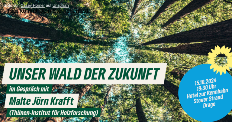 Wie wird unser Wald der Zukunft aussehen?