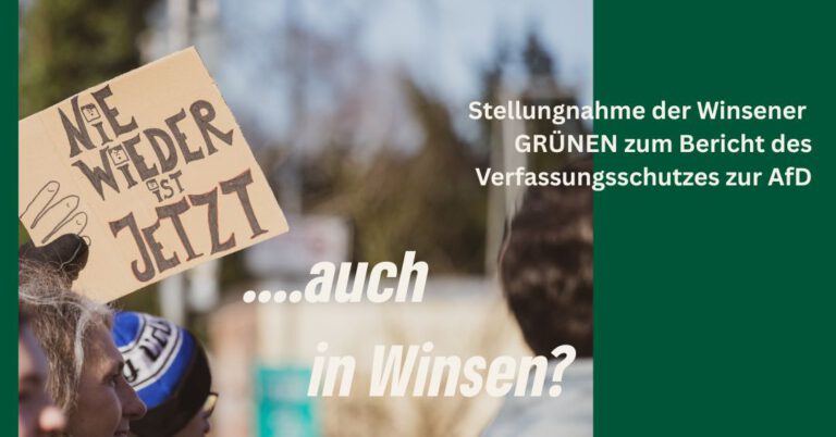 Positionspapier von Bündnis 90/Die Grünen Winsen zur Einstufung der AfD als gesichert rechtsextrem