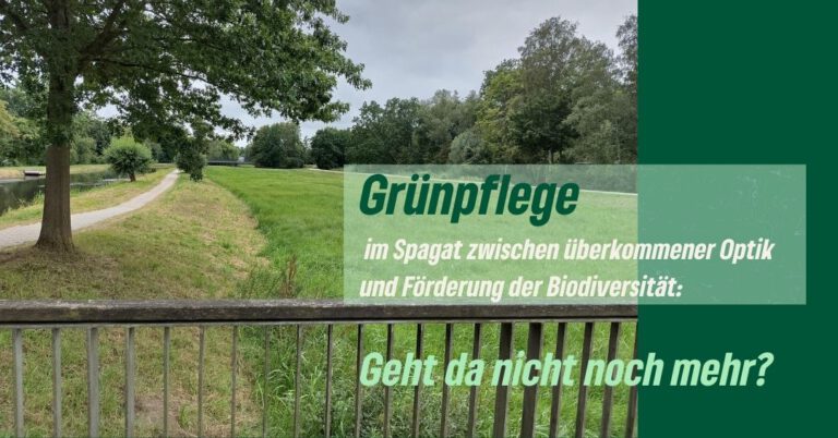 Biodiversität stärken – mehr Veränderung wagen!
