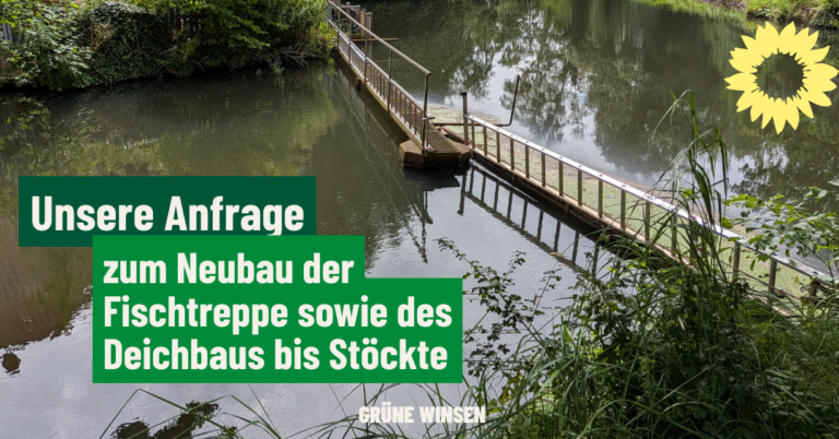 Wie geht es weiter mit der Ertüchtigung der Hinterlanddeiche in Winsen? Und mit der Fischpassage am Benthack-Wehr?